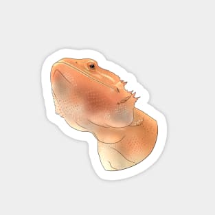 Calcifer the Bearded Dragon Sticker